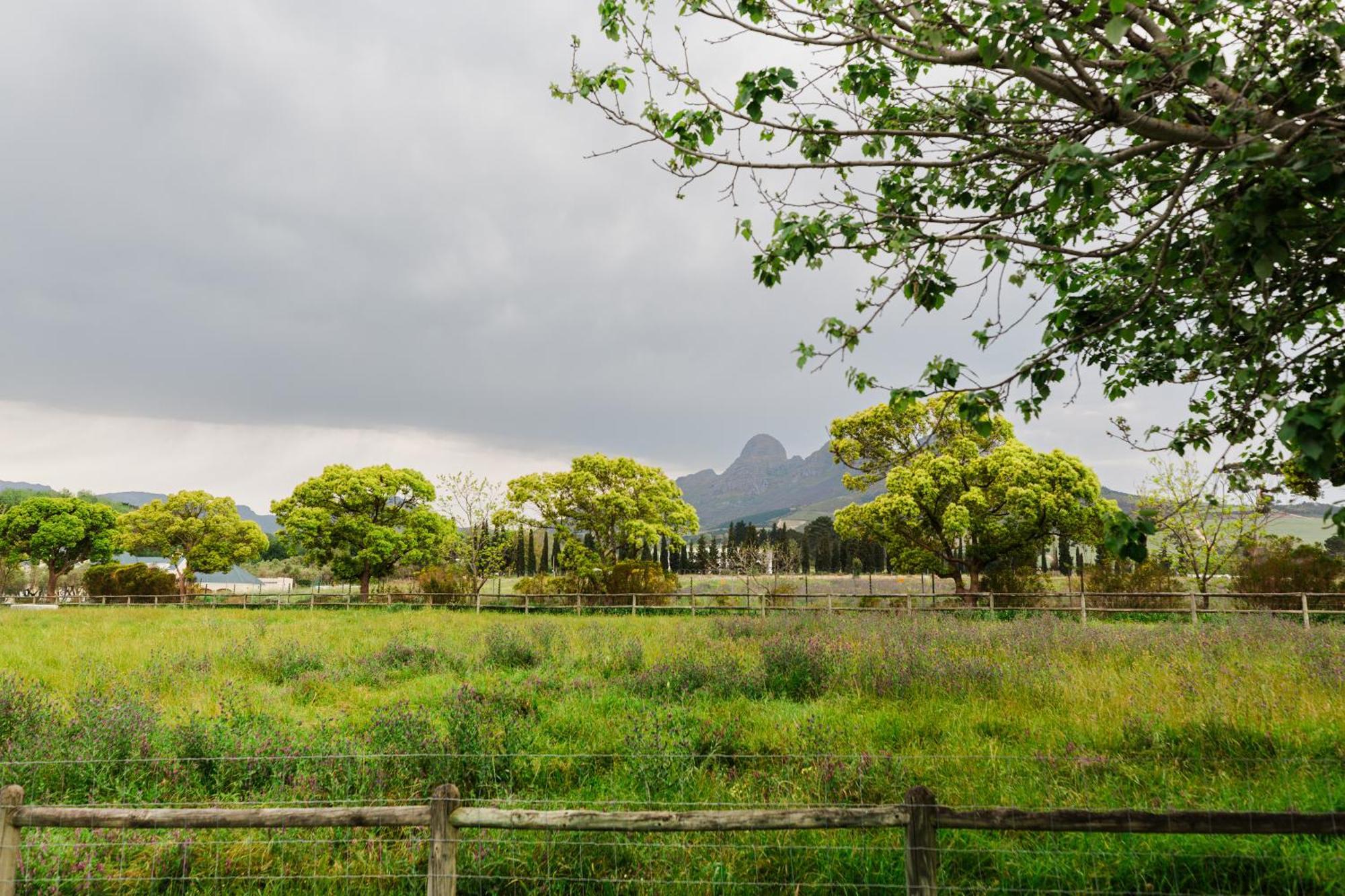 Bed and Breakfast Marshden Estate Stellenbosch Zewnętrze zdjęcie