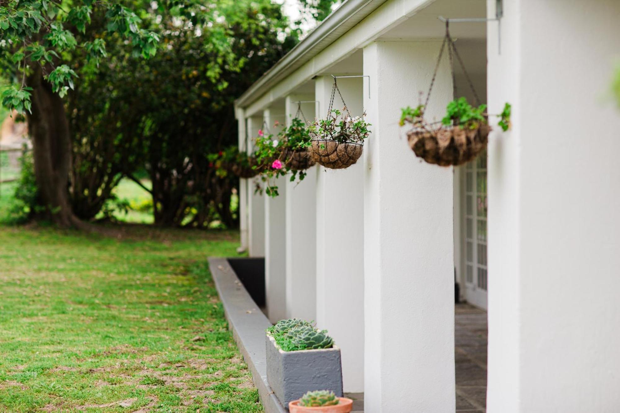 Bed and Breakfast Marshden Estate Stellenbosch Zewnętrze zdjęcie