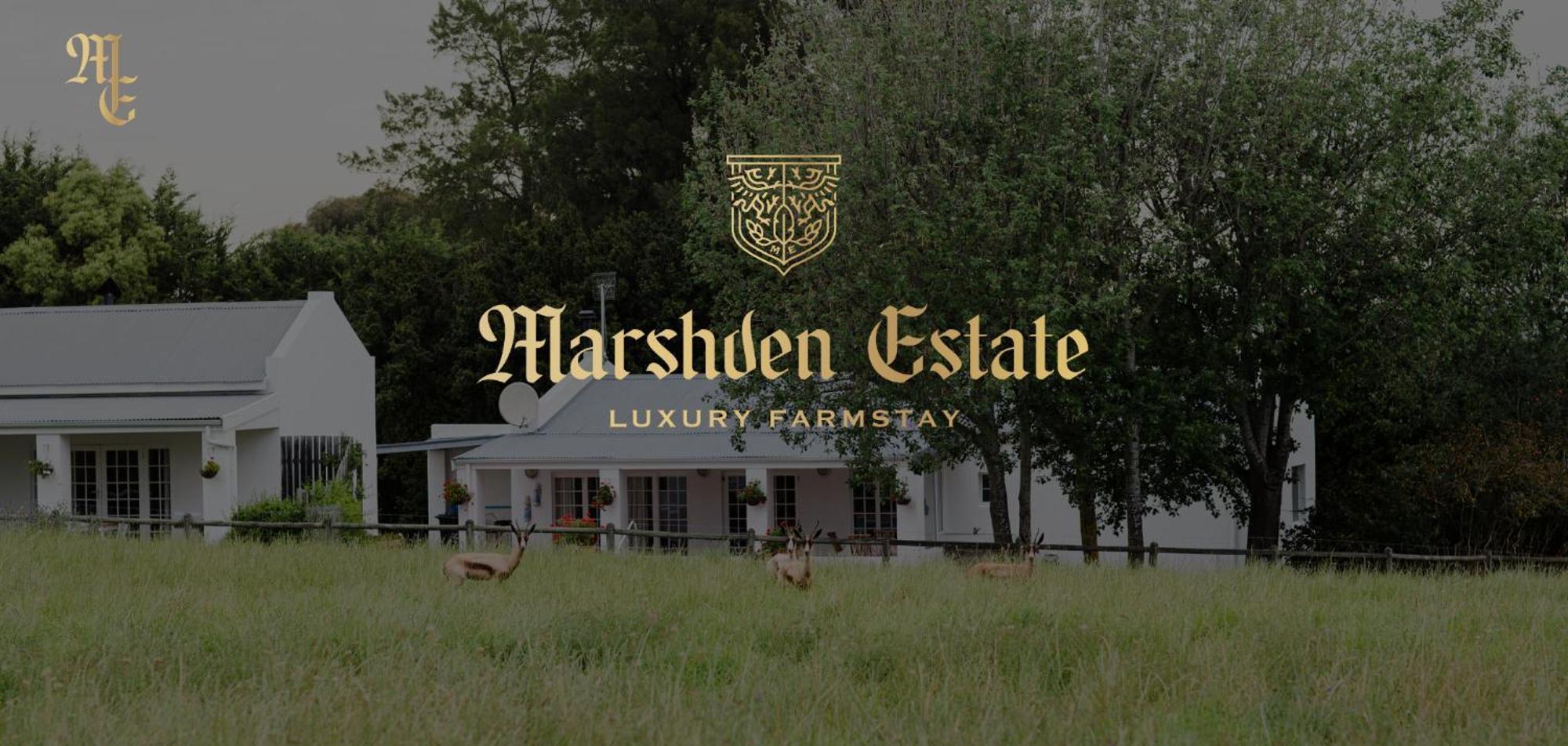Bed and Breakfast Marshden Estate Stellenbosch Zewnętrze zdjęcie